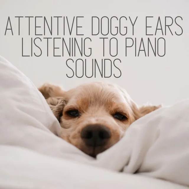 Pawsitive Piano Vibes for Dogs