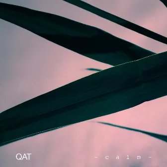 Calm by Qat