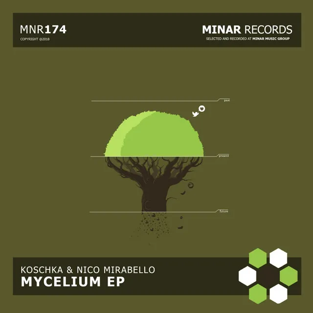 Mycelium