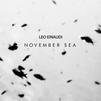 November Sea by Leo Einaudi