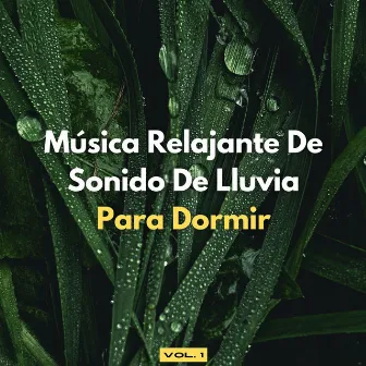 Música Relajante De Sonido De Lluvia Para Dormir, Vol. 1 by Música para el sueño absoluto