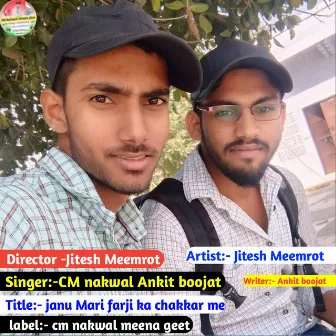 Janu Mari Farji Ka Chakkar Me (Meena geet) by 