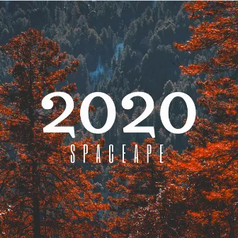 2020 by Spaceape