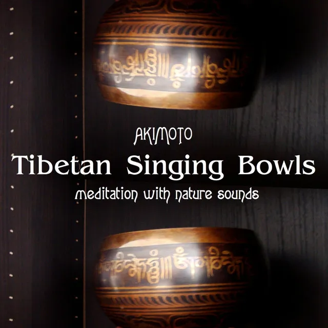 Tibetan Singing Bowls Meditative Healing Session, Pt. 3