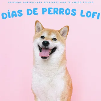 Días De Perros Lofi: Chillhop Canino Para Relajarte Con Tu Amigo Peludo by Musicoterapia para perros