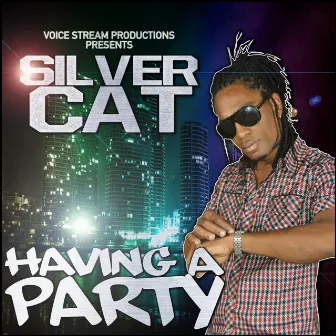 Having a Party - Single by Silver Cat