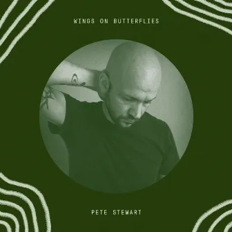 Wings on Butterflies by Pete Stewart