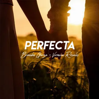 Perfecta by Brandon Garza