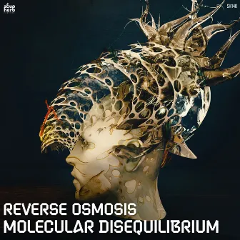 Molecular Disequilibrium by Reverse Osmosis