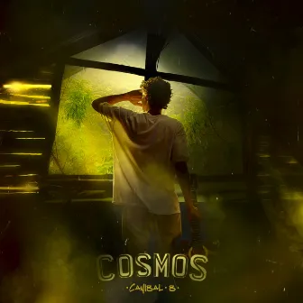 Cosmos by Canibal