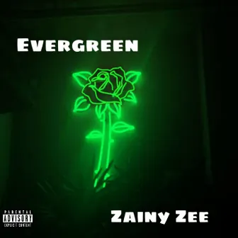 Evergreen by Zainy Zee