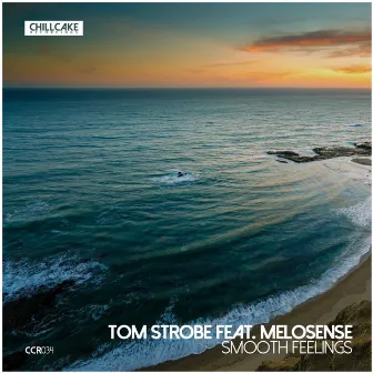 Smooth Feelings by Tom Strobe