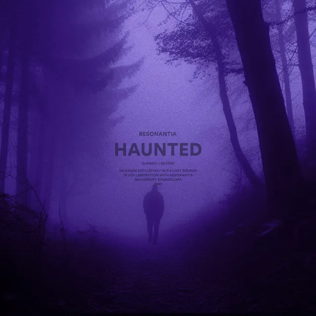 haunted (slowed + reverb)