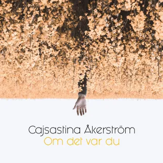 Om det var du by Cajsa Stina Åkerström