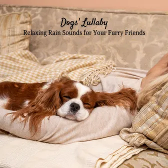 Dogs' Lullaby: Relaxing Rain Sounds for Your Furry Friends by Enjoyable Rain Sleep Sound