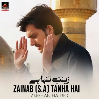 Zainab S.A Tanha Hai by Zeeshan Haider