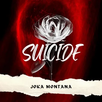 Suicide by Joka Montana