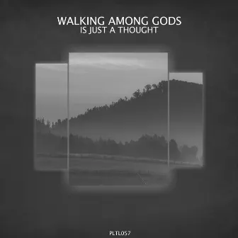 Is Just a Thought by Walking Among Gods