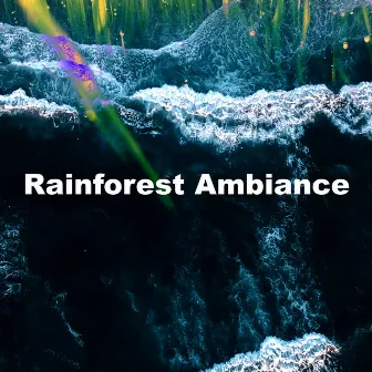 Rainforest Ambiance by Ambi Nature