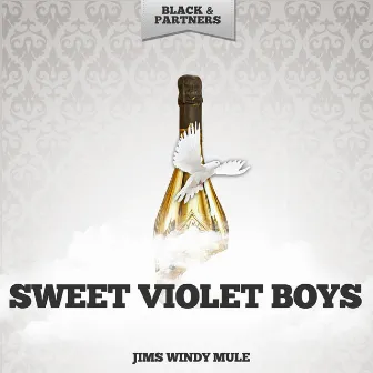 Jims Windy Mule by Sweet Violet Boys