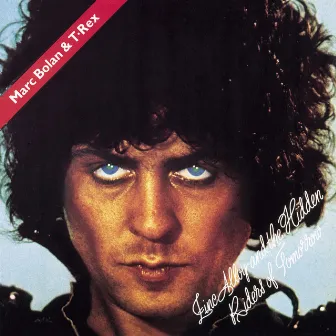 Zinc Alloy And The Hidden Riders Of Tomorrow by Marc Bolan