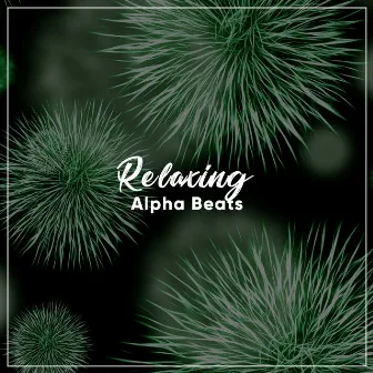 #11 Relaxing Alpha Beats by White Noise - Baby Sleep Specialists