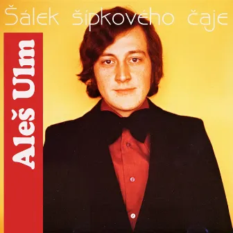 Šálek Šípkového Čaje by Aleš Ulm