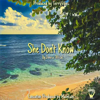 She Don't Know by Diverse Official