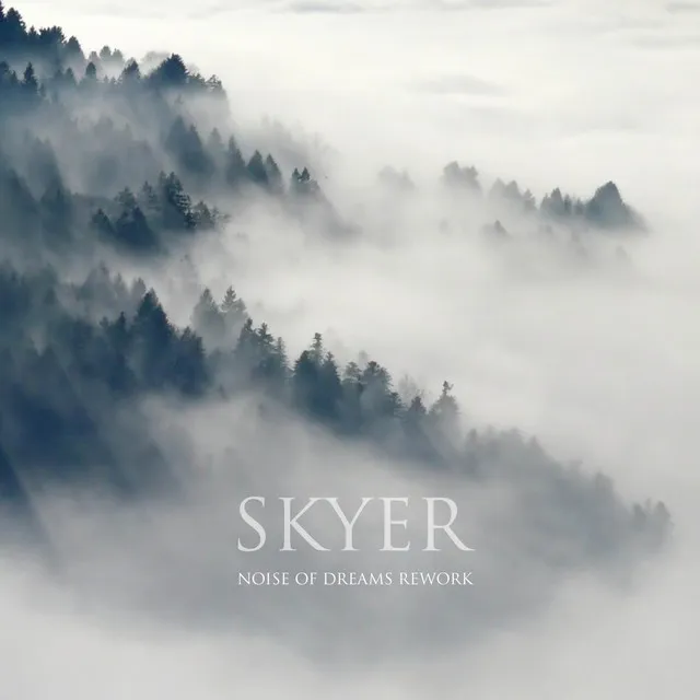 Skyer - Noise of Dreams Rework