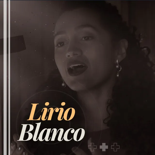 Lirio Blanco