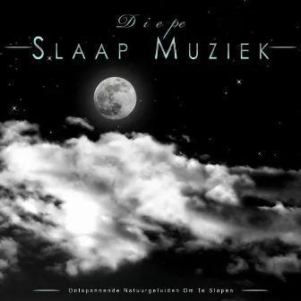 Diepe Slaap Muziek: Ontspannende Natuurgeluiden Om Te Slapen by Slaap Muziek