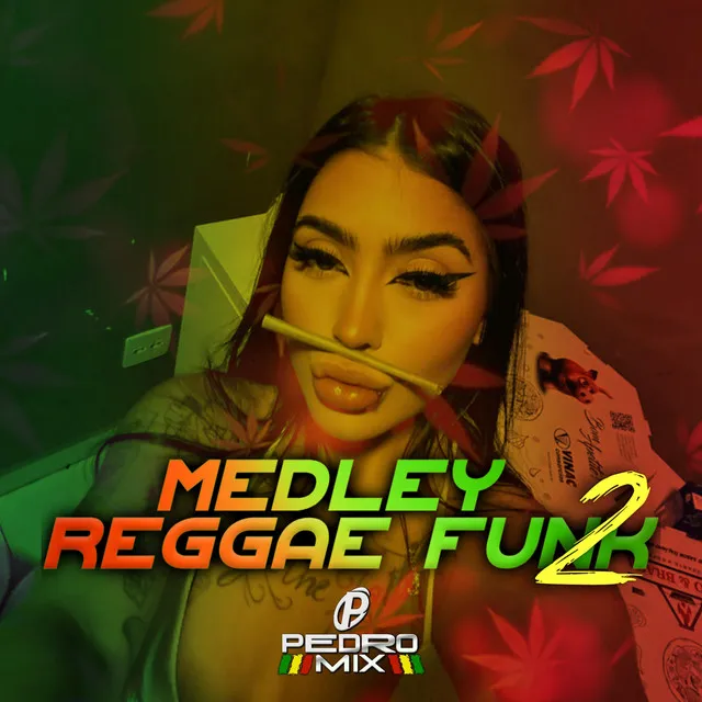 Medley Reggae Funk 2 - Reggae Remix