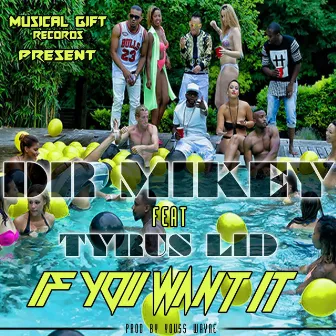 If You Want It by Dr Mikey