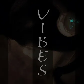 Vibes by Q The Beat Boy