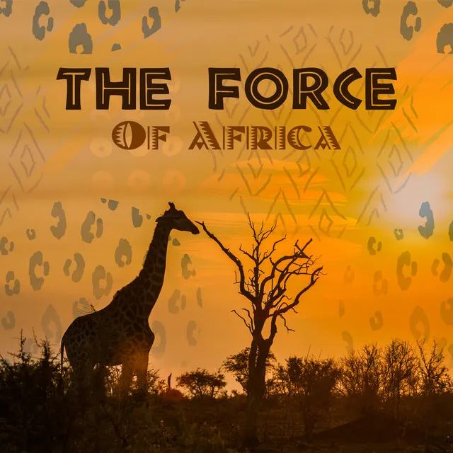 The Force Of Africa