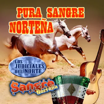 Pura Sangre by Sangre Norteña