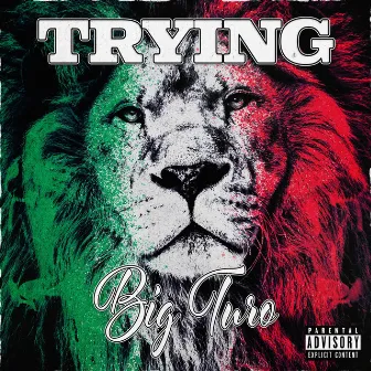 Trying by Big Turo