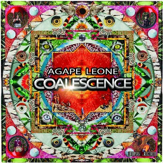 Coalescence by Agape Leone