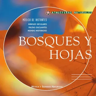 Atmosferas Naturales - Bosques y Hojas by Thierry Noritop