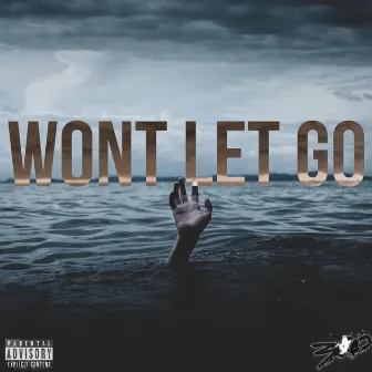 WON'T LET GO by 300 R3MY