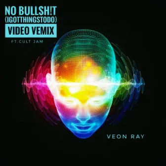 No Bullshit (Igotthingstodo) by Veon Ray