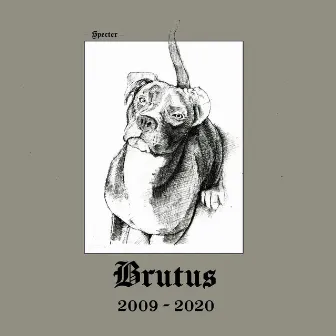 BRUTUS (2009-2020) by Specter