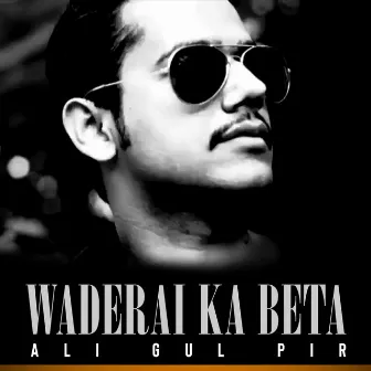 Waderai Ka Beta by Ali Gul Pir