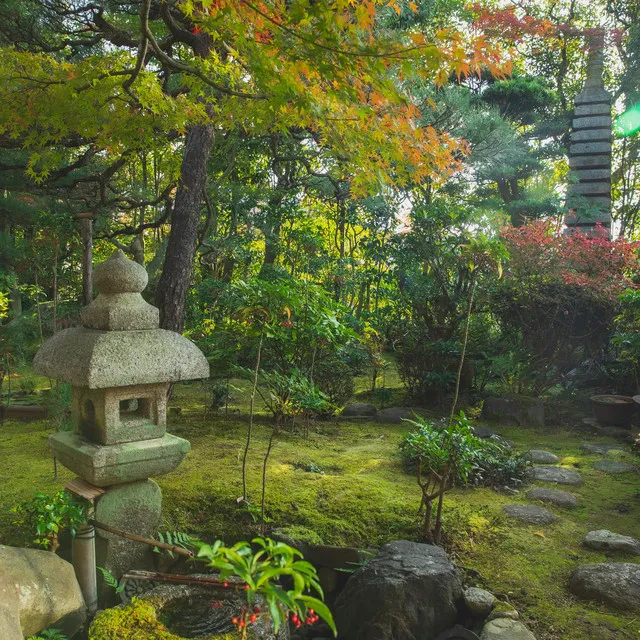 Zen Garden