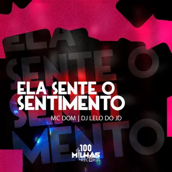 Ela sente o sentimento by dj lello do jd