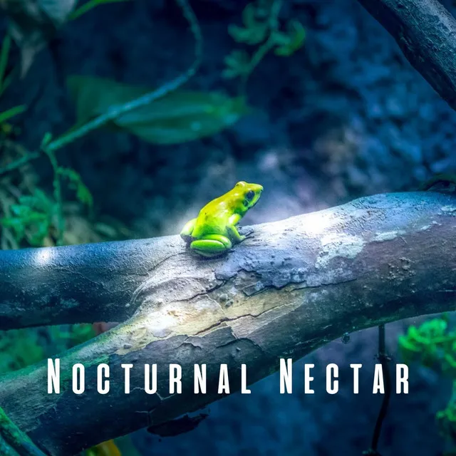 Nocturnal Nectar: Light Rain and Frog Melodies for Sleep