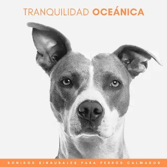 Tranquilidad Oceánica: Sonidos Binaurales Para Perros Calmados by 