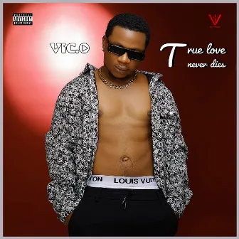 True Love Never Dies by Vic.O