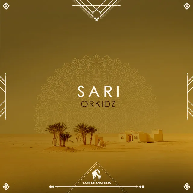 Sari