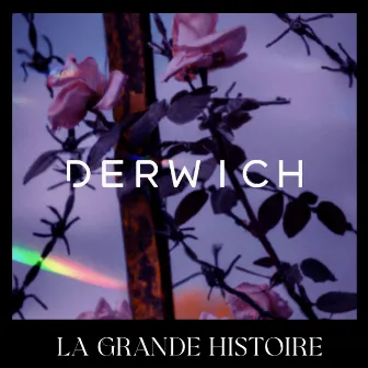 La grande histoire by Derwich